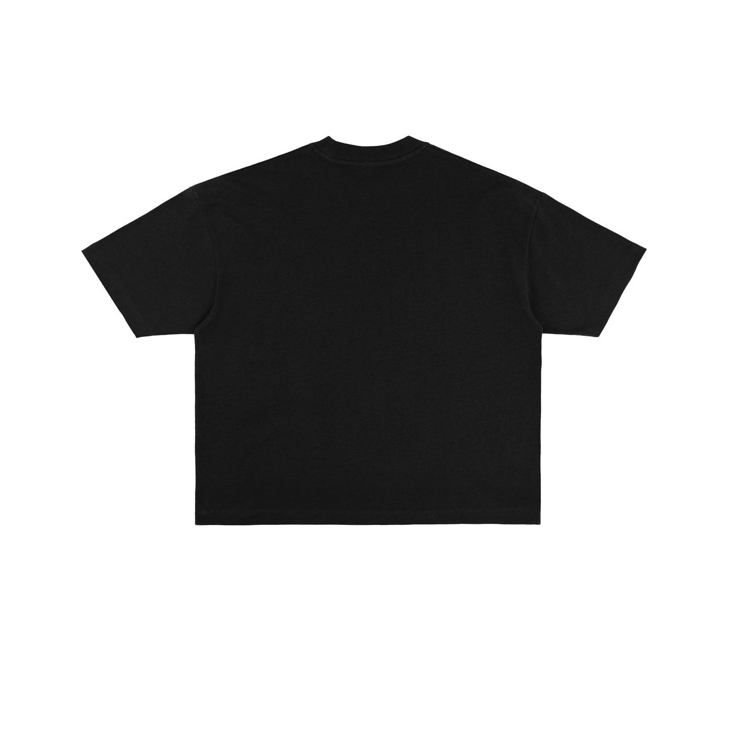 Sky Wear Keys 1037 V2 Cropped Boxy T-Shirt