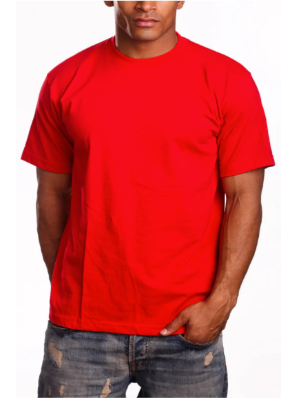 Pro 5 - Heavy T-Shirt (Super Heavy Tee)