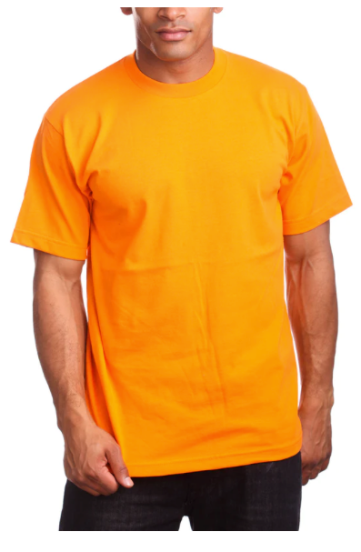 Pro 5 - Heavy T-Shirt (Super Heavy Tee)