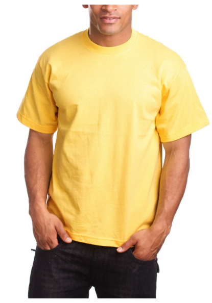 Pro 5 - Heavy T-Shirt (Super Heavy Tee)